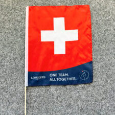 Swiss Equestrian Handfahnen texspo